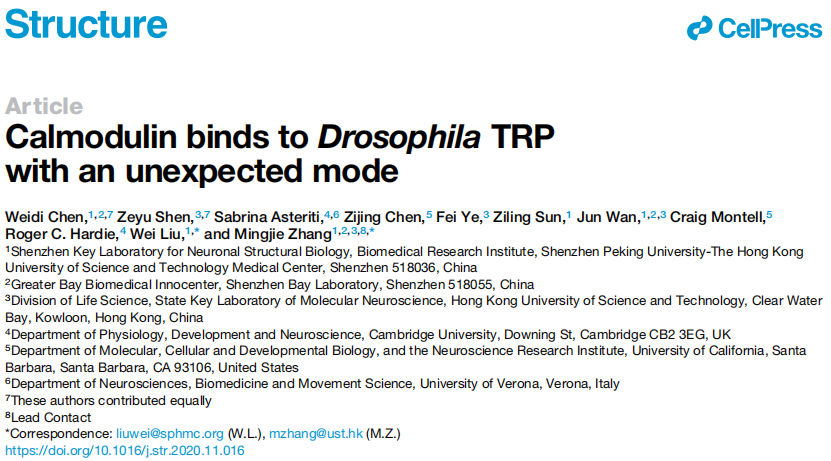 医学中心张明杰、刘伟研究团队关于CaM/TRP离子通道相互作用的分子机制研究发表在Structure杂志(图1)