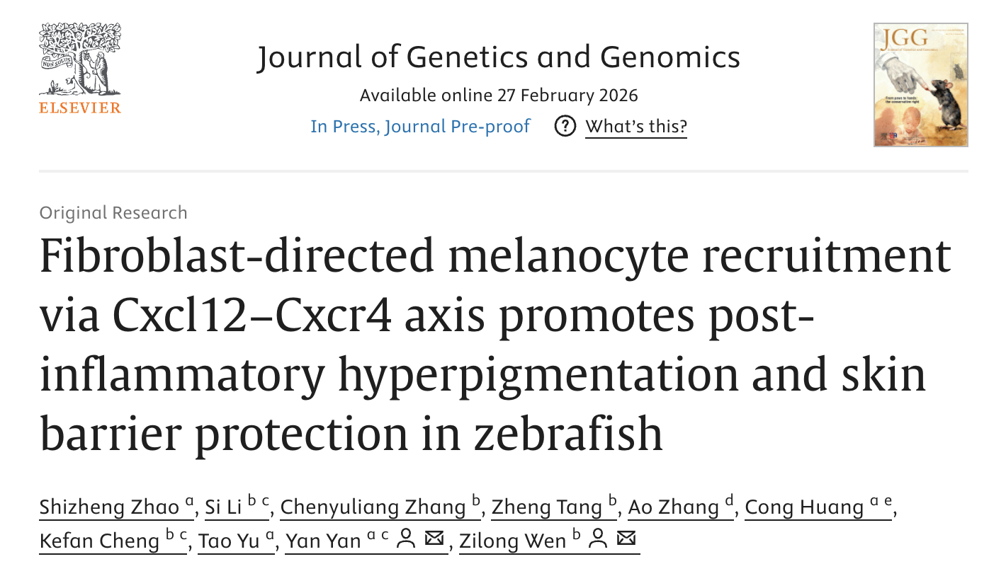 医学中心生物医学研究所阎言课题组合作揭示成纤维细胞调控炎症后色素沉着新机制(图1)